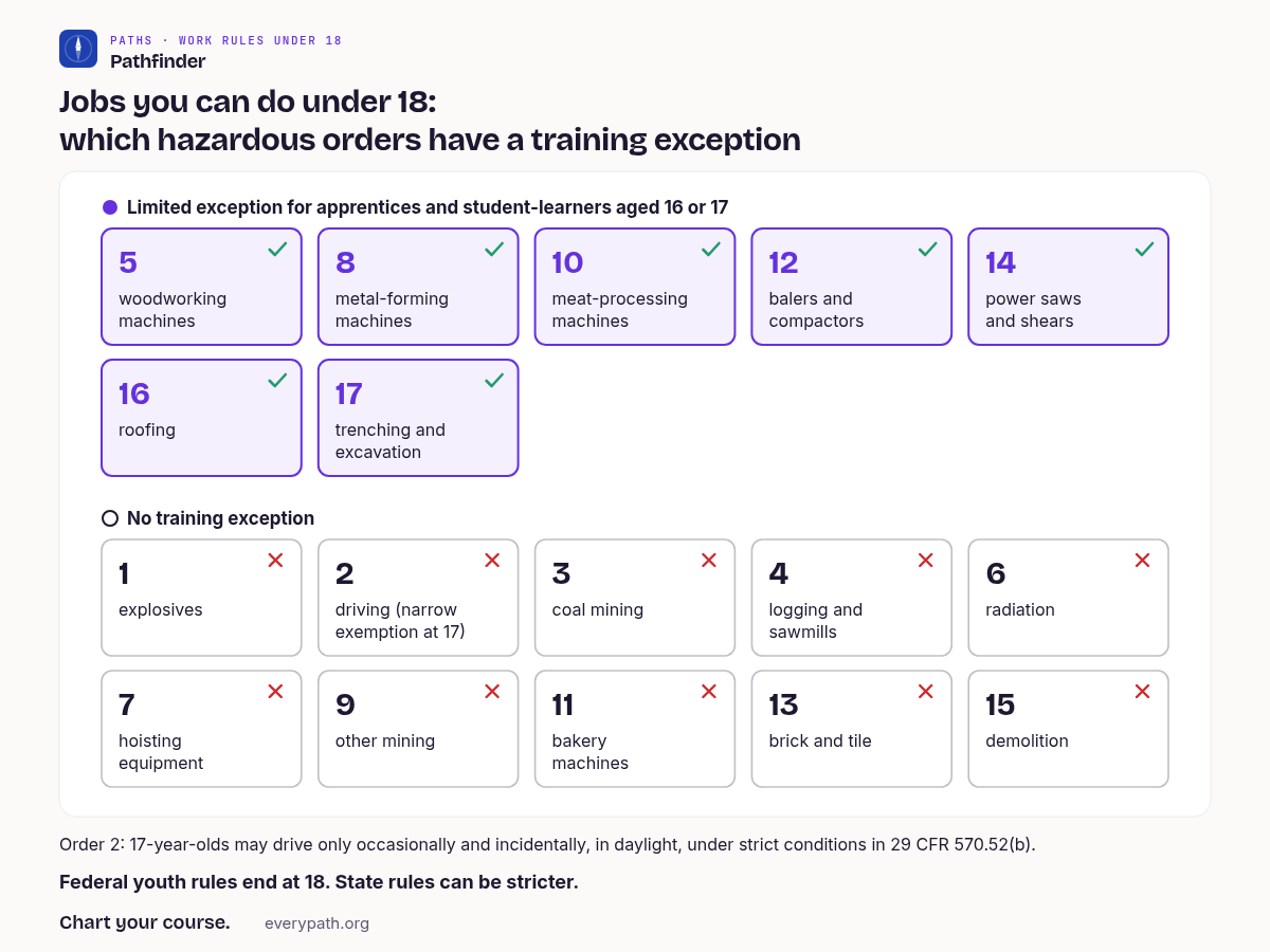 Chart titled Jobs you can do under 18: which hazardous orders have a training exception. Seventeen numbered tiles, one for each hazardous occupations order. Seven tiles are marked Limited exception for apprentices and student-learners aged 16 or 17: 5 woodworking machines, 8 metal-forming machines, 10 meat-processing machines, 12 balers and compactors, 14 power saws and shears, 16 roofing, 17 trenching and excavation. Ten tiles are marked No training exception: 1 explosives, 2 driving (narrow exemption at 17), 3 coal mining, 4 logging and sawmills, 6 radiation, 7 hoisting equipment, 9 other mining, 11 bakery machines, 13 brick and tile, 15 demolition. Order 2: 17-year-olds may drive only occasionally and incidentally, in daylight, under strict conditions in 29 CFR 570.52(b). Footer: Federal youth rules end at 18. State rules can be stricter.